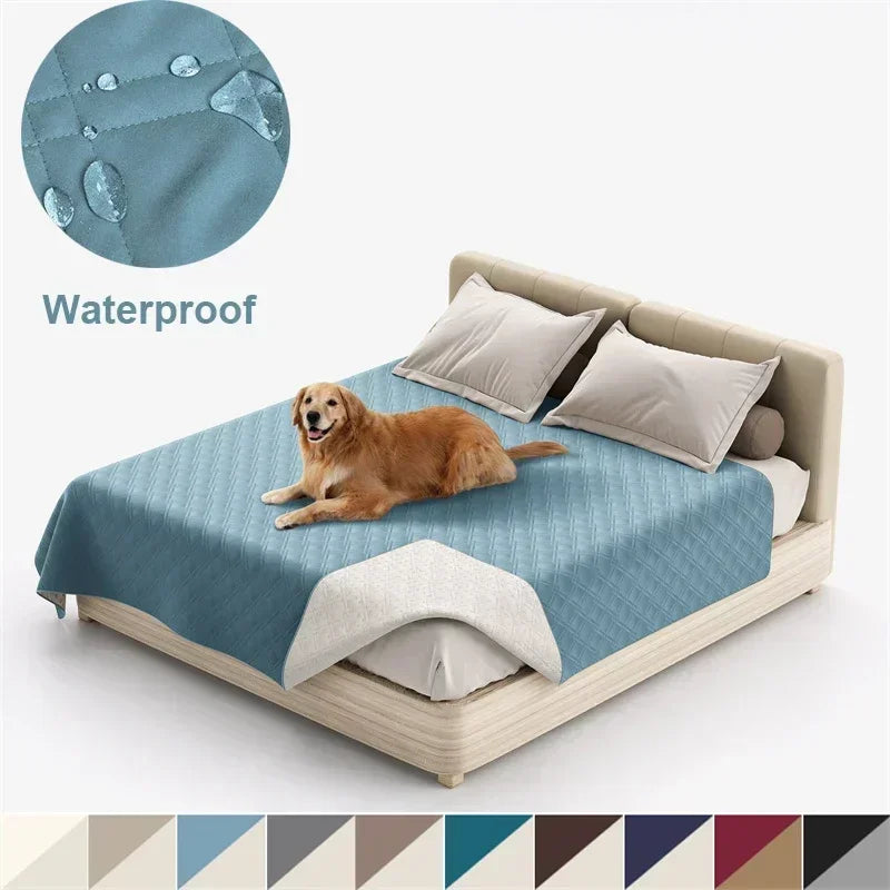 Dog lying on a bed with a waterproof mattress cover, showing water droplets on the fabric.