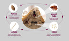 PawfectFriend Long-Lasting Dog Collar – Plant-Based Formula, Adjustable & Waterproof 