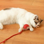 Pawfectfriend Interactive Dog & Cat Toy Rechargeable Rolling Ball with Fake Tail
