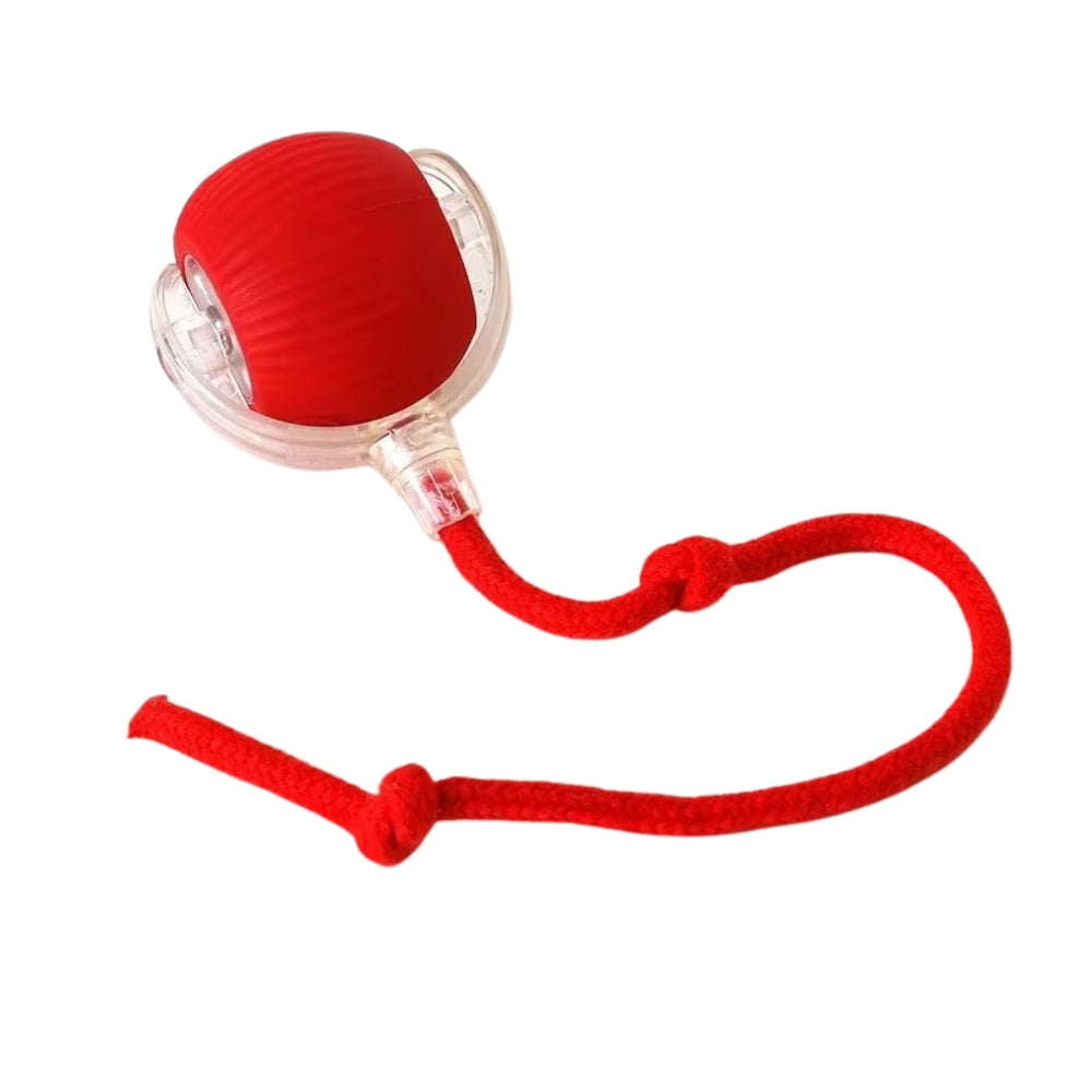 Pawfectfriend Interactive Dog & Cat Toy Rechargeable Rolling Ball with Fake Tail