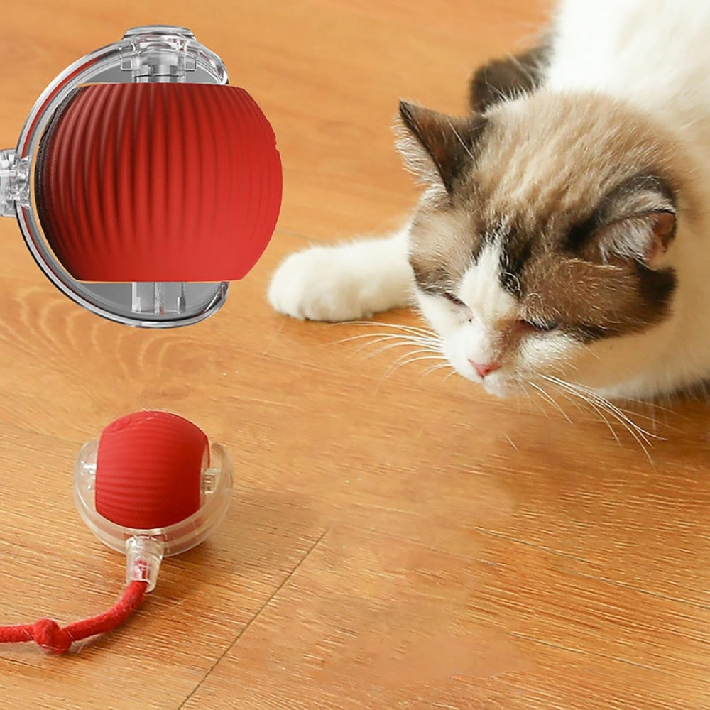Pawfectfriend Interactive Dog & Cat Toy Rechargeable Rolling Ball with Fake Tail