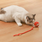 Pawfectfriend Interactive Dog & Cat Toy Rechargeable Rolling Ball with Fake Tail