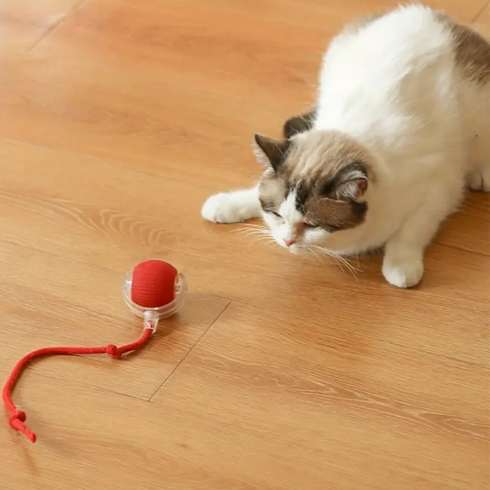 Pawfectfriend Interactive Dog & Cat Toy Rechargeable Rolling Ball with Fake Tail