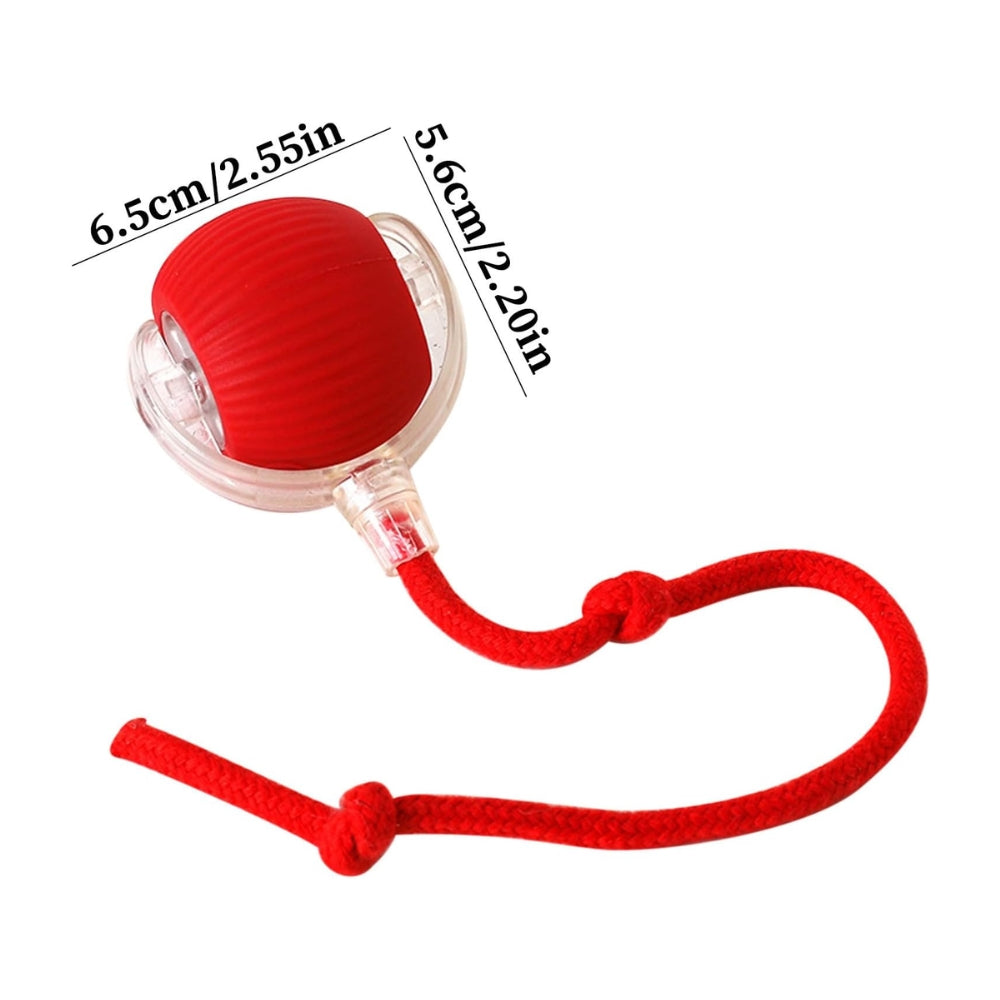 Pawfectfriend Interactive Dog & Cat Toy Rechargeable Rolling Ball with Fake Tail