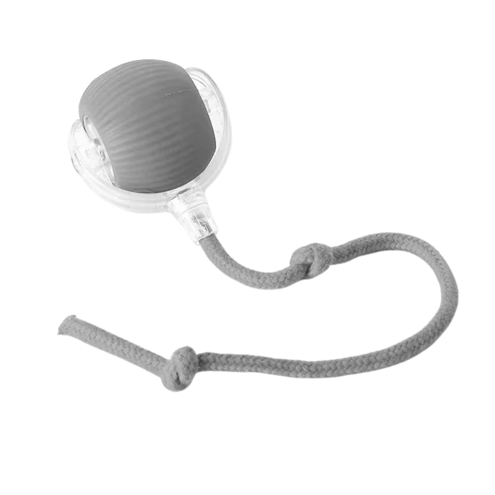 Pawfectfriend Interactive Dog & Cat Toy Rechargeable Rolling Ball with Fake Tail