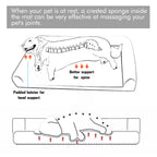 PawfectFriend Cozy Cuddler Bed for Dogs – With Supportive Bolsters & Plush Top 